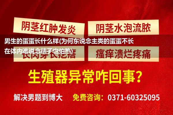 男生的蛋蛋长什么样(为何东说念主类的蛋蛋不长在体内难说念精子也怕热)